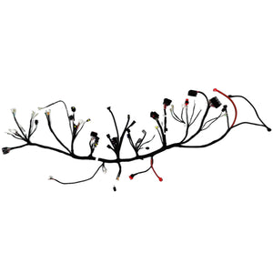 Motorcycle high-displacement wiring harness
