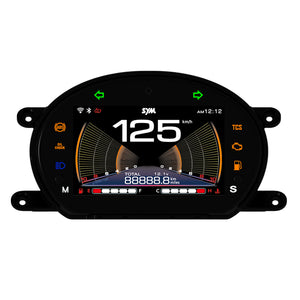 Motorcycle instrument panel