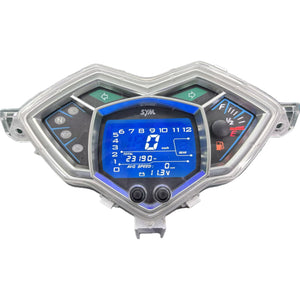 Motorcycle instrument panel